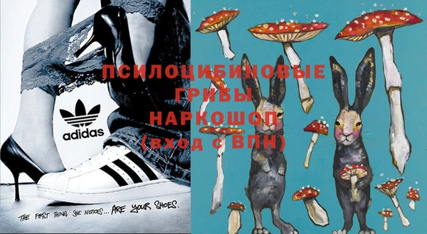мяу мяу мука Арсеньев