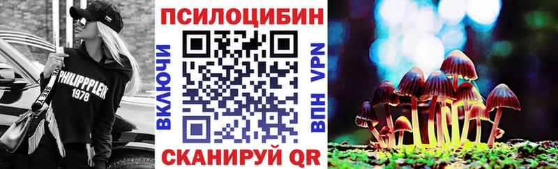 kraken сайт  Лермонтов  Псилоцибиновые грибы Psilocybine cubensis 